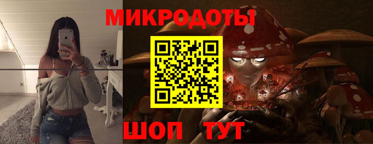 Новый Уренгой  Псилоцибиновые грибы Cubensis  Вход с VPN 